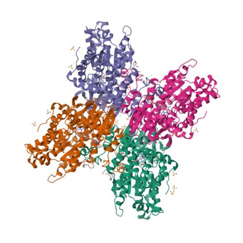 Rcsb Pdb 5utu 265 Angstrom Resolution Crystal Structure Of S