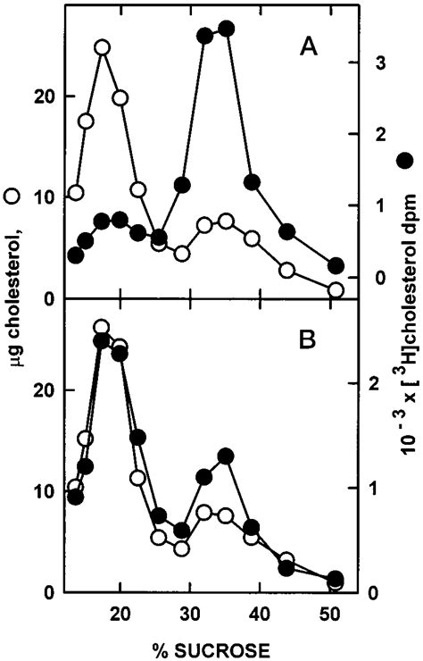 Transfer Of 3 H Cholesterol From Plasma Membrane To Lysosomes In Npc