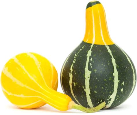 Japanese gourd Stock Photos, Royalty Free Japanese gourd Images | Depositphotos