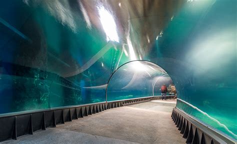 Arc2 Completes The Massive Afrykarium Oceanarium In Wroclaw