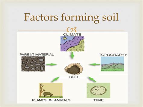 Soil Forming Factors