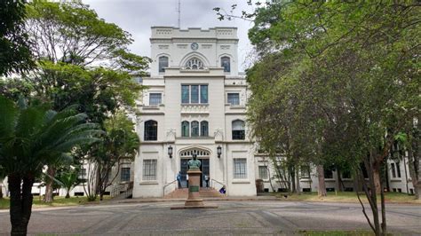 Como é O Curso De Medicina Na Usp