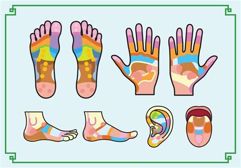 Free Reflexology Chart 117647 Vector Art At Vecteezy