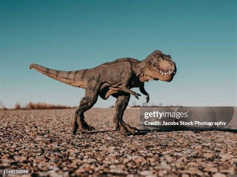 Tyrannosaurus Rex Habitat Photos and Premium High Res Pictures - Getty Images