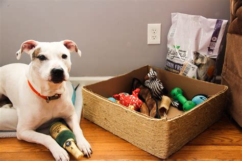 Dog Toy Box, DIY Dog toy bin, simple and easy to make