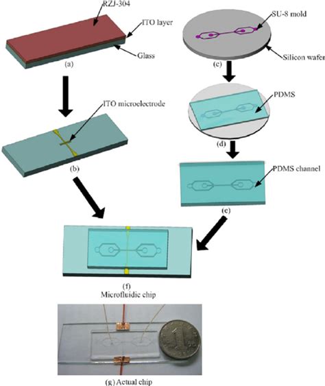 Fabrication Procedure Of ITO Micro Electrode And PDMS Microfluidic Chip