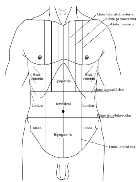 Anatomia Gray1220 Abdome Humano Pt Pdf