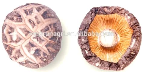 Edible Tea Flower Shiitake Mushroom Factory Supply Price High Quality