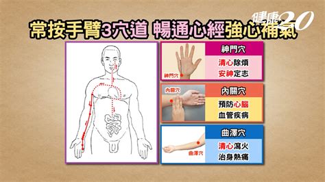 手掌警訊！初期高血壓從手掌看出來 這樣吃降血壓第一名 3穴位1茶飲降血壓、血脂