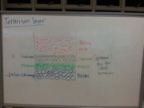 Terrarium Layers Diagram