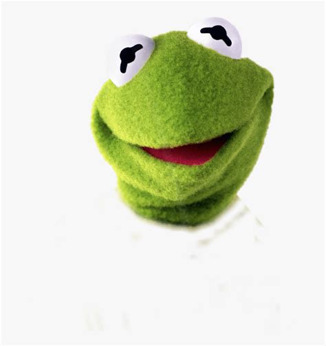 Transparent Kermit Clipart Kermit The Frog Face Transparent Hd Png