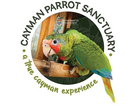 Cayman Parrot Sanctuary - Caymanvisitor