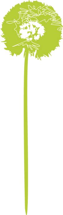 Timing Of Sex Fertility NZ