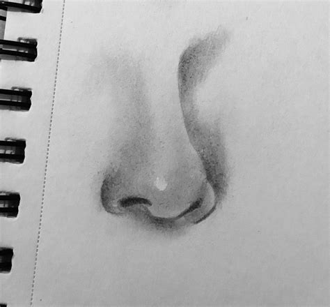 Realistic Drawing Of A Nose