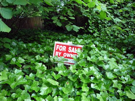 FOR SALE BY OWNER If You Can Find It Sneaky FSBO Sign Timothy