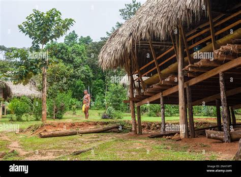 The Indigenous Embera Live In Traditional Huts With Thatched Roofs