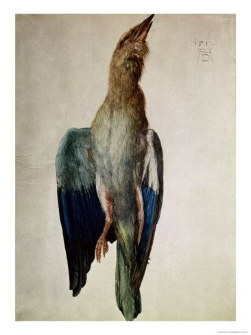 Blue Crow Giclee Print Albrecht D Rer Art Albrecht