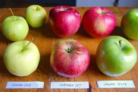 The Best Pie Apples Here S How To Choose King Arthur Baking