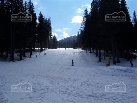 Development of ski and eco tourism in Berkovitsa Balkan, Bulgaria