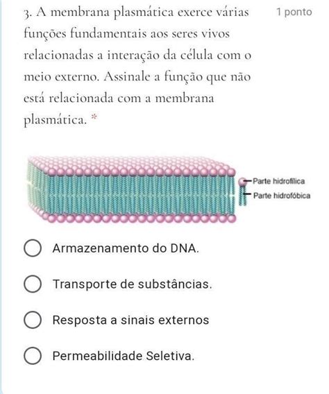 3 A membrana plasmática exerce várias funções fundamentais aos seres