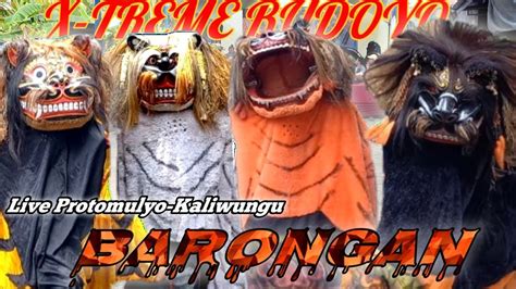 Singo Barong X Treme Budoyo Dkbendut Protomulyo Youtube