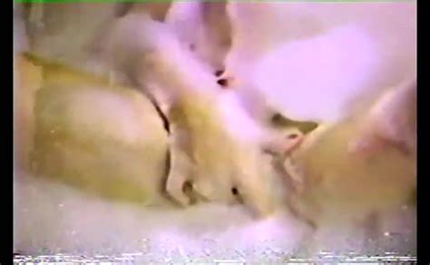 Pat Manning Breasts Scene In Let S Talk Sex AZNude