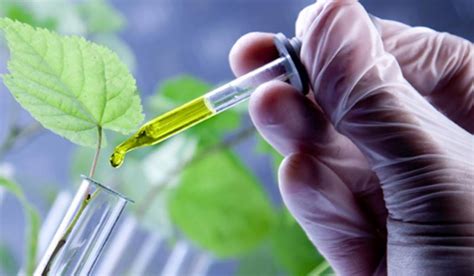 Herramientas Biotecnol Gicas Aplicadas A La Biodiversidad Potenciar An