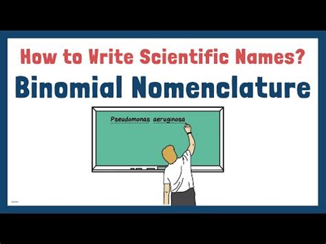 What Is The Correct Format For Writing A Scientific Name