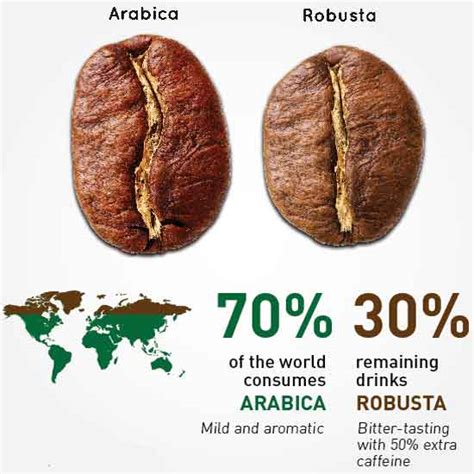 12 فرق بین دانه قهوه عربیکا و روبوستا چیست؟ مجله ایران کوک شاپ