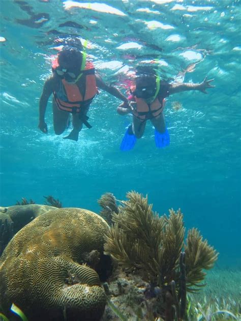 Snorkeling tour Puerto Morelos - Diving in Puerto Morelos OmDelfin Scuba Dive