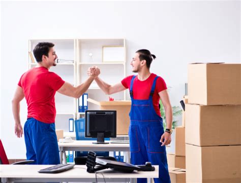Differences Between Contractor Vs Employee In Uk Naseems