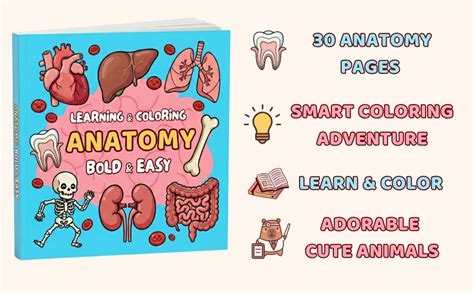 Anatomy Manual Cute