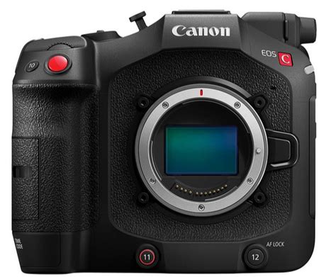 Canon C400 And C80 Get A Massive Cloud Upgrade Heres What You Need