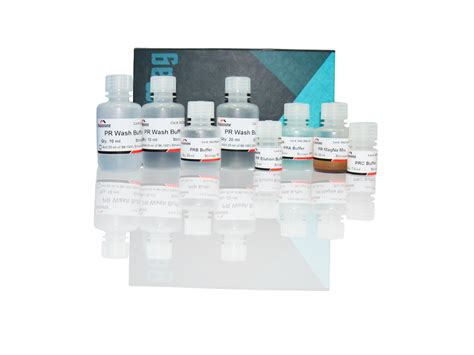 Xpressrna Plant Kit Maggenome