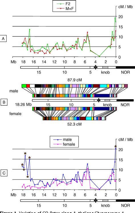 Figure 1 From Sex Specific Crossover Distributions And Variations In