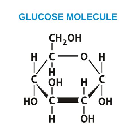 Glucose Structural Formula — Stock Vector © Blumer 1979 36867107