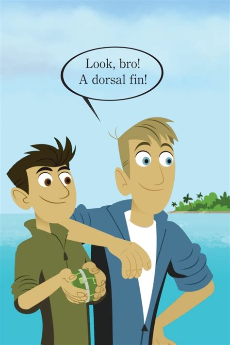 Wild Sharks Wild Kratts Author Martin Kratt Author Chris Kratt Illustrated By Random