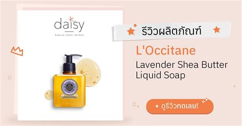 Review Loccitane Lavender Shea Butter Liquid Soap ริวิวผลการใช้โดยสมาชิก Daisy By