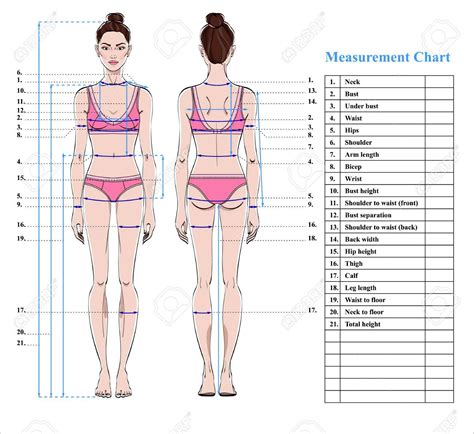 Woman Body Measurement Chart Scheme For Measurement Human Body For