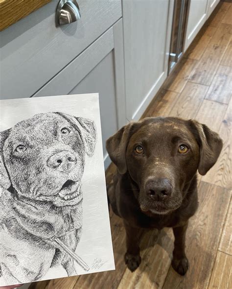 Best Maisie Images On Pholder Celebs With Petite Tits