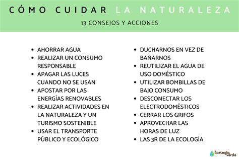 Como Cuidar La Naturaleza Consejos Y Acciones Campervaning