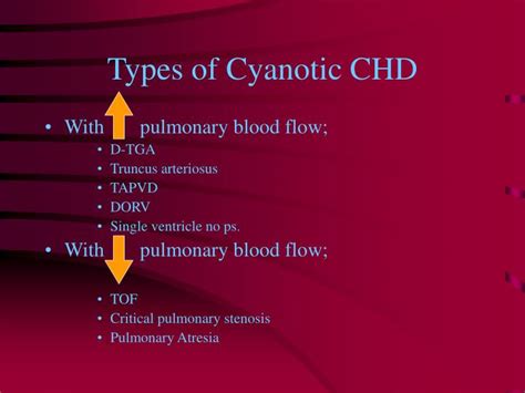 PPT - PATHOPHYSIOLOGY OF CYANOTIC CHD PowerPoint Presentation - ID:3358054