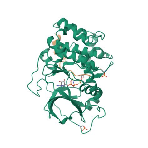 Rcsb Pdb 4hpt Crystal Structure Of The Catalytic Subunit Of Camp