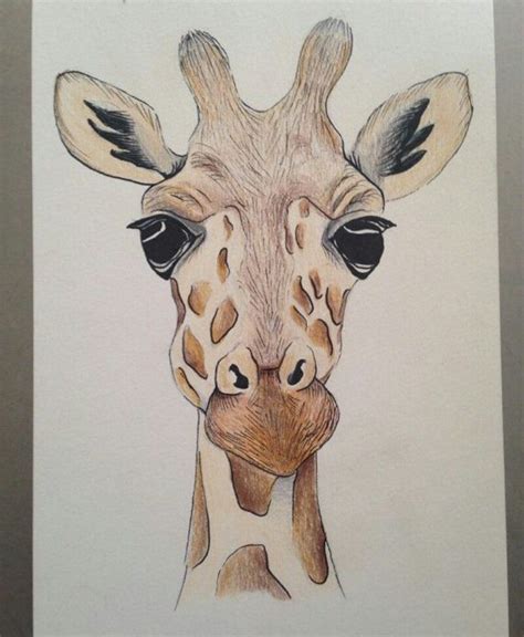 Giraf Tekenen Giraffe Art Art Inspiration Giraffe Drawing