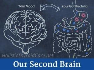 gut health second brain play a significant role overall health mood emotions