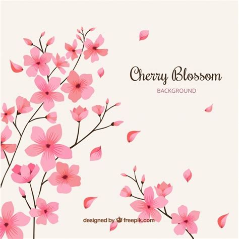 Cherry Blossom Petals Vector At Collection Of Cherry