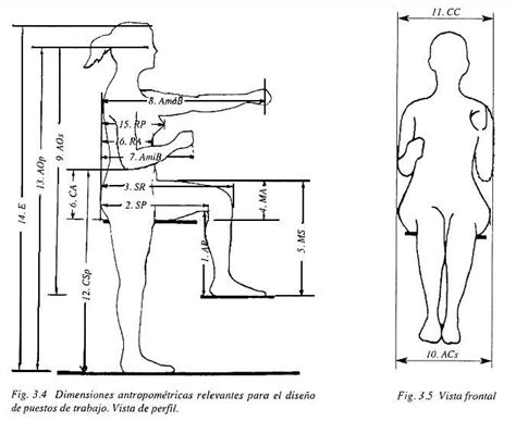 Generalidades P7 ErgonomÍa Y AntropometrÍa