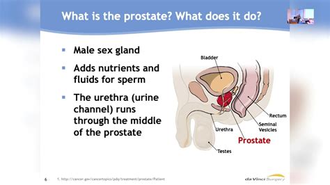 Understanding Common Problems In Urology April Minoirty Mens Health