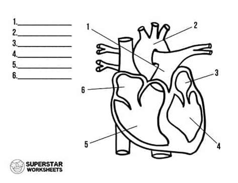 Heart Label Worksheets