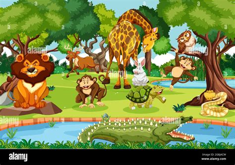 Different animals in the forest scene illustration Stock Vector Image ...